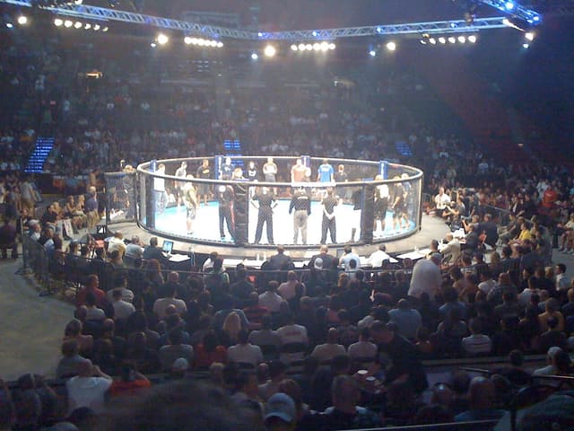 Welcome to MMA.box: Your Ultimate MMA Destination